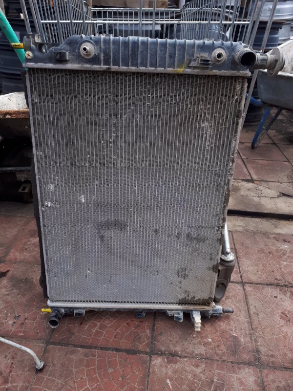 Радиатор охлаждения двигателя AP-0009910393