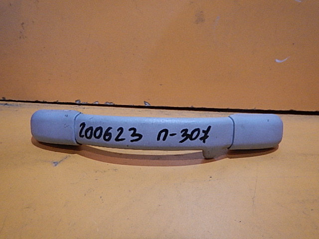Ручка внутренняя потолочная AP-0000468004