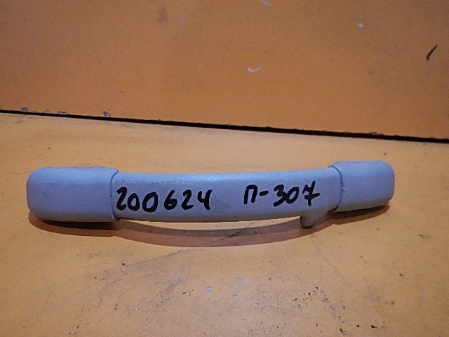 Ручка внутренняя потолочная AP-0000438110