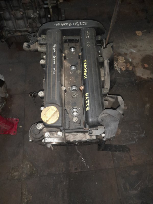 Двигатель (ДВС) AP-0010111425