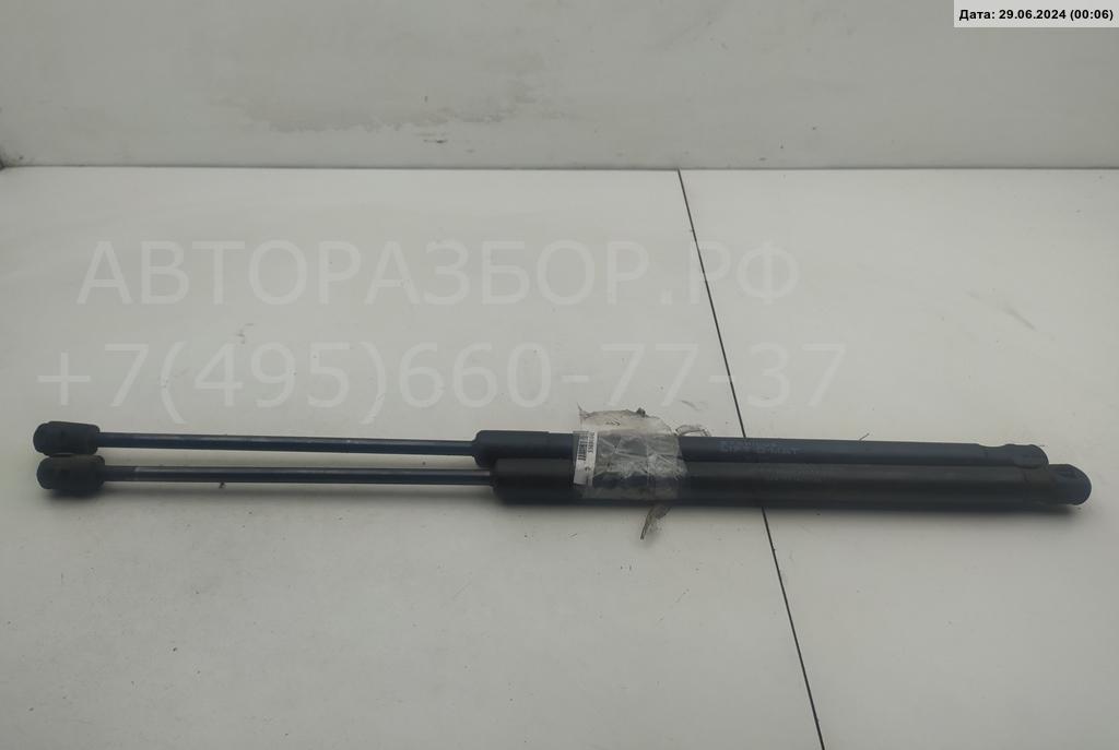 Амортизатор крышки багажника AP-0010102447